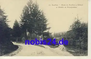 Bouillon Route de Paliseul *ca.1915