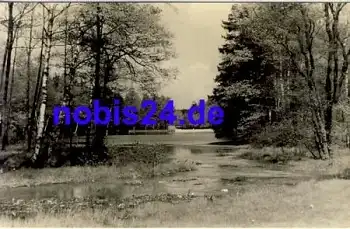 01737 Seerenteich Tharanther Wald *ca.1957