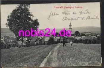 86465 Neustadt bei Coburg o 29.9.1919