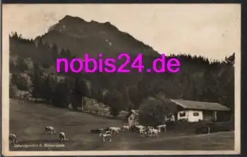 83730 Birkenstein Schwaigeralm o 19.8.1936