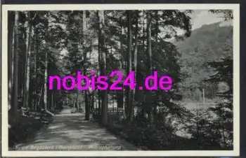 76887 Bergzabern Philosophenweg *ca.1940