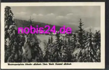 98749 Alsbach Winter an der Scheibe *ca.1956