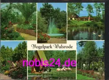 29664 Walsrode Vogelpark o 9.8.1972