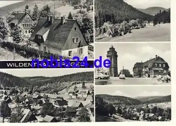 08309 Wildenthal o ca.1979