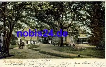 23701 Uklei Forsthaus o 1903