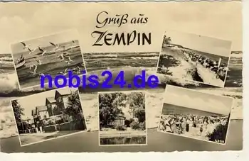 17459 Zempin o 1960