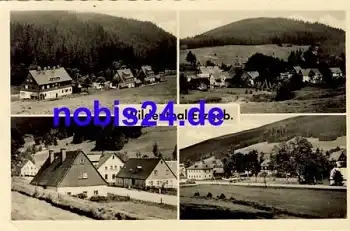 08309 Wildenthal *ca. 1958