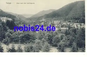 99891 Tabarz Blick zum Lauchagrund o 1912