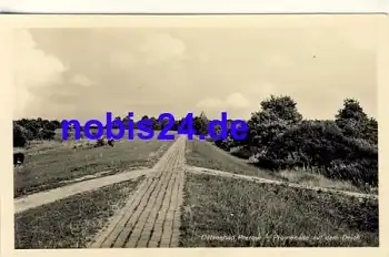 18375 Prerow Darss Deich Promenade *ca.1940