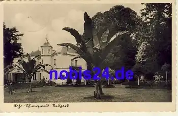 77933 Lahr Stadtpark o ca.1938