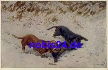 Dackel Marder Primus Künstlerkarte Weczerzick *ca.1915