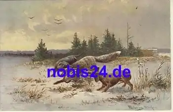 Dackel bei der Jagd Künstlerkarte Müller *ca.1900