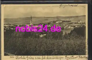 95119 Naila vom Berg o 6.9.1915
