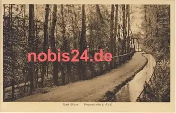 06647 Bad Bibra Promenade zur Aue *ca.1930