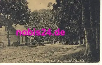 16827 Tornow Forsthaus Ruppiner Schweiz o 1920