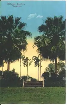 Botanical Gardens Singapore  * ca. 1920