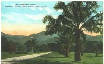 Botanical Gadens Hope 5 Miles from Kingston *ca. 1930