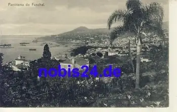 Madeira Funchal *ca.1920