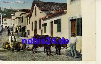 Madeira Corga de Bois *ca.1910