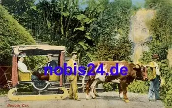 Bullock Car PORTUGAL *ca.1915