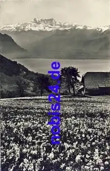 Les Pleyades *ca.1960