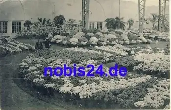 Universelle Floralies Belgien o 1913