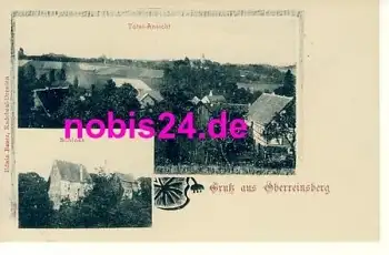 09629 Oberreinsberg mit Schloss *ca.1900