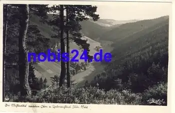 98744 Weißbachtal vom Berg o 1967