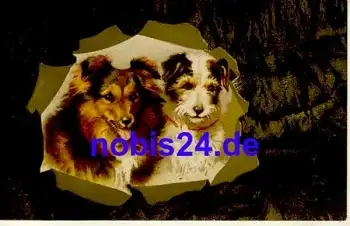 Colly Hund Künstlerkarte  o ca.1915