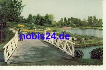 Blumengarten NIEDERLANDE  *ca.1960