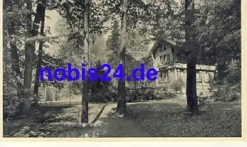 Degenried Waldhaus *ca.1930