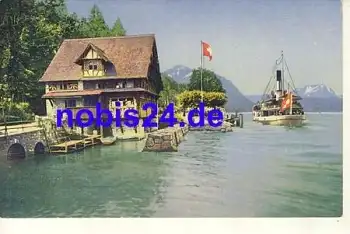 Treib Seelisberg mit Dampfschiff  *ca.1920