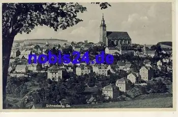 08289 Schneeberg *ca.1930
