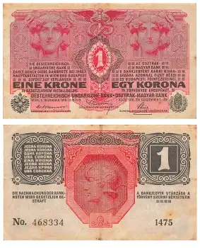 Oesterreichisch Ungarische Bank 1 Eine Krone 1916