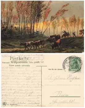 Heimtrieb Künstlerkarte Jean Francois Millet Bahnpoststempel Dresden Königsbrück Zug 2736 18.9.1908