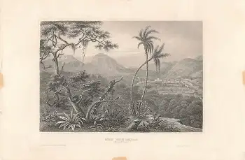 Neu Freiburg Brasilien original Stahlstich um 1860