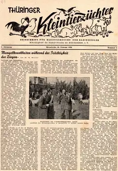 Thüringer Kleintierzüchter Fachmagazin Heft 5 1950 8 Seiten