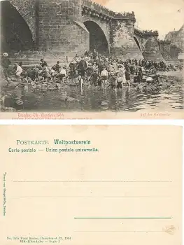 Dresden Augustusbrücke Elbe-Klondyke Niedrigwasser auf Goldsuche  1904