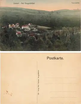 01816 Zwiesel Bad Berggießhübel Panorama * um 1920