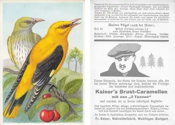 Pirol Kaisers Brust Caramellen Sammelbild unsere Vögel Tafel 43