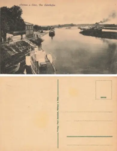 Steinau Oder Scinawa * um 1910