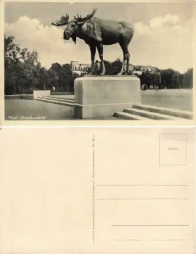 Tilsit Memel Elchstandbild Ostpreussen Sowetsk * um 1940