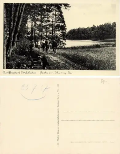 Waldkater Ostpreussen * 1937