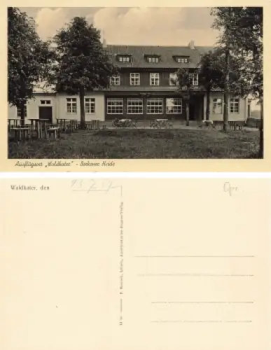 Borkener Heide Waldkater Ostpreussen Puszcza Borecka * 1937