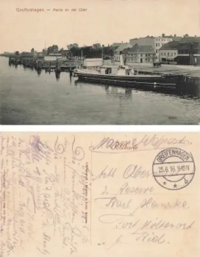 Greifenhagen Partie an der Oder Pommern Gryfino o 25.6.1916