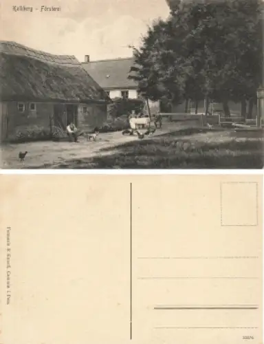 Kalkberg Pommern Försterei Wrzosowo Kamien Pomorski  * um 1920