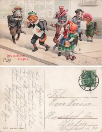 Arthur Thiele Künstlerkarte Katzen Schule Das schlechte Zeugnis o 1914