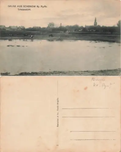Schönow Kreis Pyritz Pommern Jesionowo * um 1920