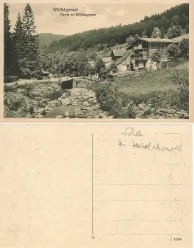 Wölfelsgrund Schlesien Grafschaft Glatz * um 1920