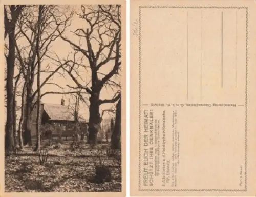 Schalscha Oberschlesien alte Eichen Szalsza * um 1920